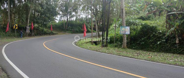 2 Land Lots in the Highlands on Jalan Raya Pejeng 1