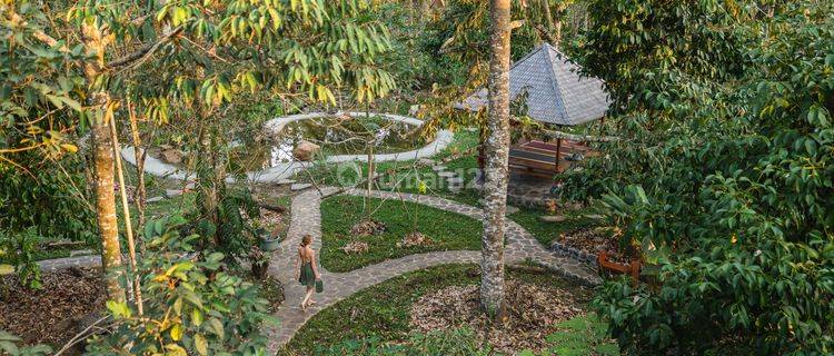 Rare Listing Private Paradise In The Middle Of Mountain Penebel Tabanan 1