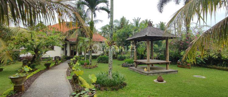 Big Garden Villa Dengan View Sawah di Ubud 1