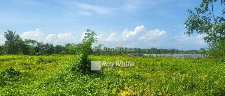 Land Kavling Walk to Kedungu Beach 1