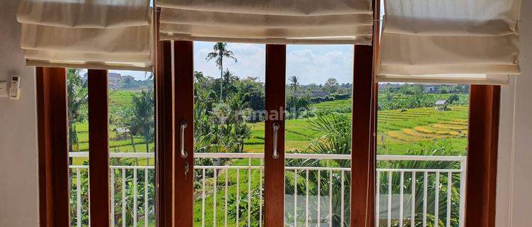 Rumah Dengan View Sawah di Daerah Pegending Dekat Canggu Area 1