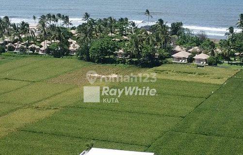 Villa Leasehold Ocean And Ricefield Views Kedungu, Tabanan, Bali 1