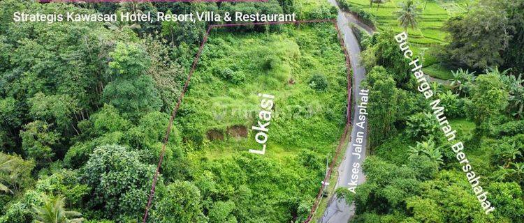 Strategic Land with Beautiful Views in Pejeng Close to Central Ubud, Bali 1