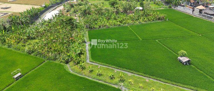 Ricefield And Beautiful Sunset View Land Plot In Seminyak, Bali 1