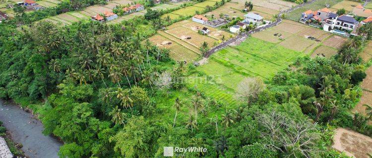 Tanah Kawasan Villa View Sawah Dan Sungai di Ubud, Gianyar, Bali 1