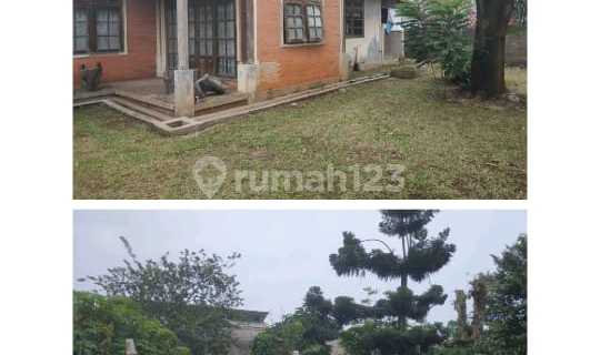 For Rent & Quick Sale Serene House Can Be Used as Office in Depok SHM /11.25 1