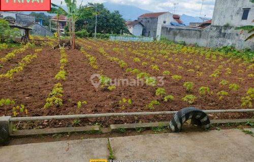 Tanah Strategis Dan Asri di Salatiga K8421 1