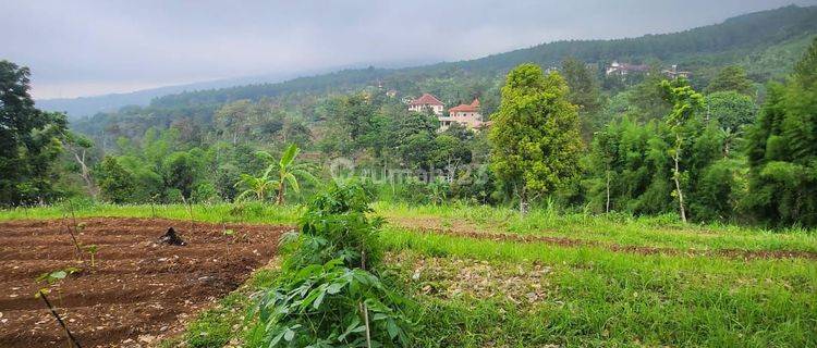 Prigen, Dayurejo. lahan siap bangun. Area komersial 1