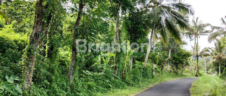 TANAH DEKAT JATILUWIH PENEBEL TABANAN 1