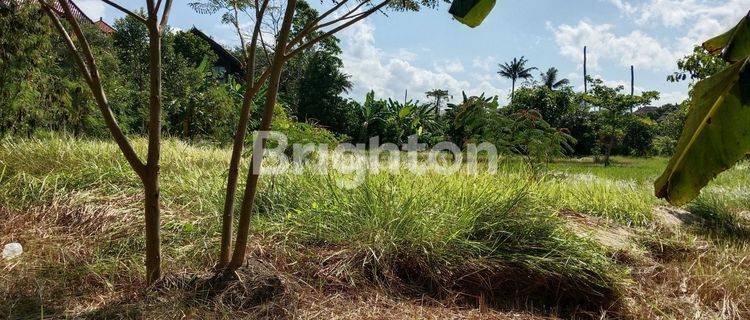 Tanah  cocok untuk Villa view sungai 1