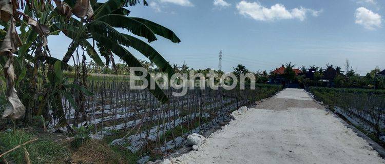 Murah Tanah Kavling Dekat Pantai Yeh Gangga 1