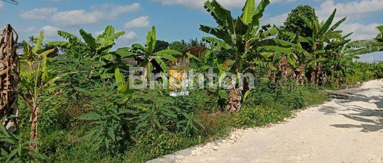 Tanah Kavling Murah Di Desa Pandak Tabanan 1