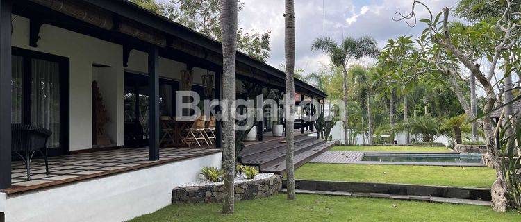 Luxury Villa Tropis Mediterranean di Canggu – Harmoni Alam dan Kemewahan 1