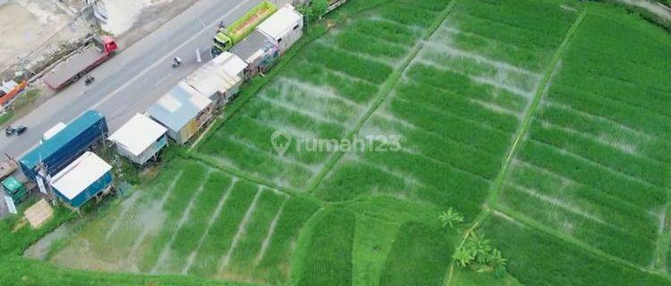 Tanah Perijinan Komersial 14 Hektar Di Jalan Raya Cikande, Tangerang 1