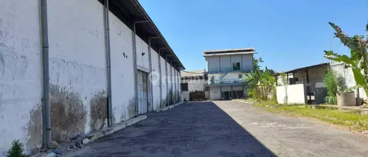 EX PABRIK DI JL. RAYA BANGSAL MOJOKERTO 3HA SHM BAGUS BEA.ZZ0003 1
