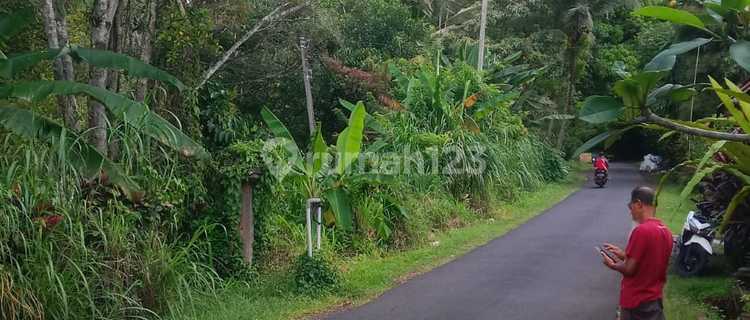 Tanah Murah Mengesta Tabanan 1