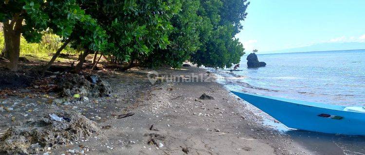 Jual tanah pinggir pantai Pulau Moyo Sumbawa Luas 4 Hektar 1