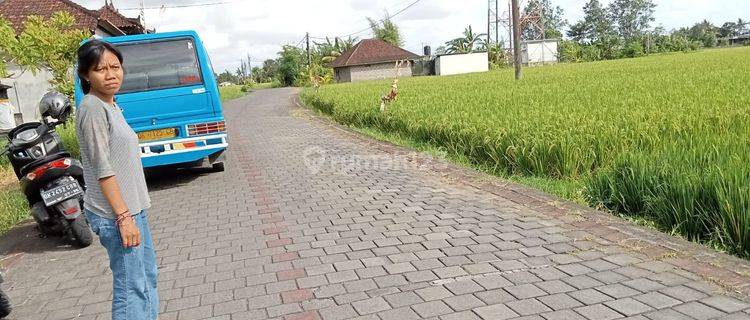 Dikontrakkan tanah murah Tanah Lot Kediri 1