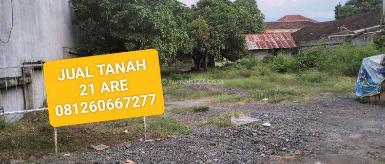 Cheap land of 21 are on the edge of the main road of Ayani Singaraja 1