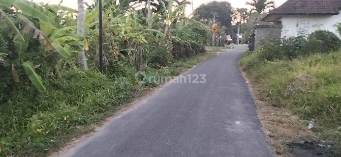 Cheap land for rent in Buwit Village Kaba Kaba Kediri Tabanan 1