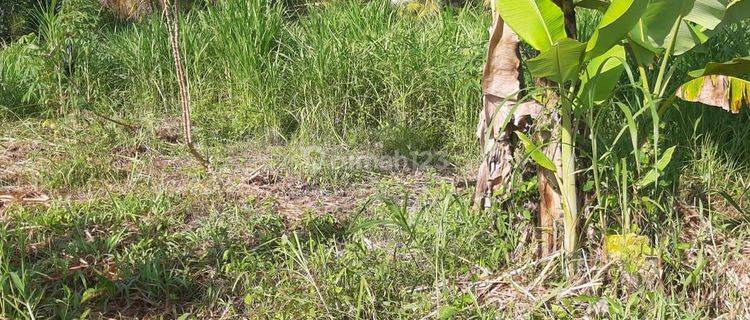 Tanah murah Sembung Mengwi Badung dekat SMA 1