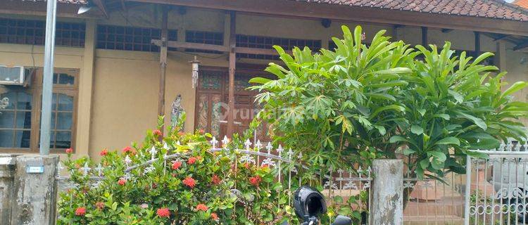 Rumah murah Kenyiri III Gatsu Tengah Denpasar  1