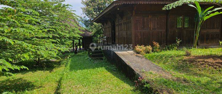 Rumah Joglo halaman luas Baturiti Tabanan 1