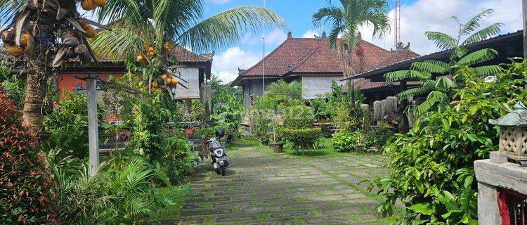 Balinese style house with a large garden in the atmosphere of Tabanan 1