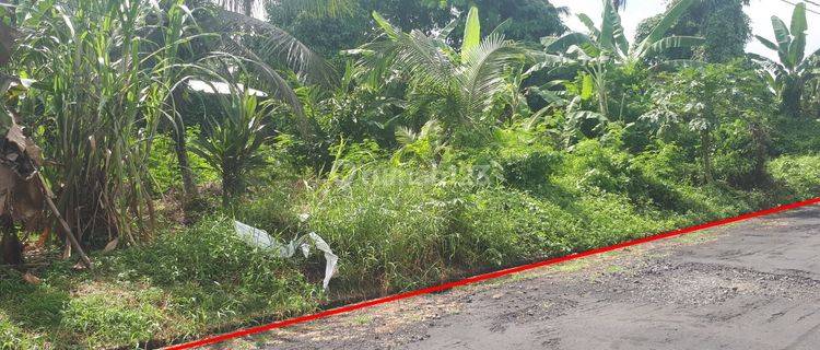 Flat land ready to build a comfortable Tabanan environment 1