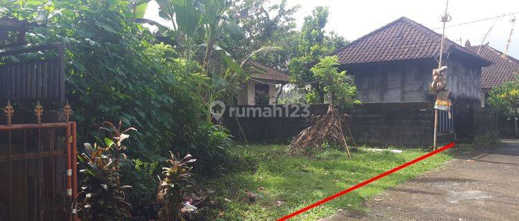 Land ready to build, quiet environment in Tabanan 1