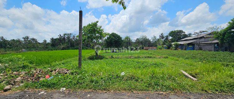 Tanah Sawah Produktif Marga Tabanan 1