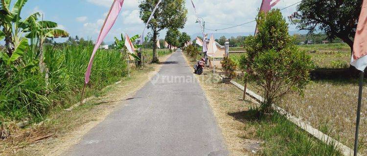 Dijual tanah SHM pekarangan di Jalan raya Sentolo nanggulan 1