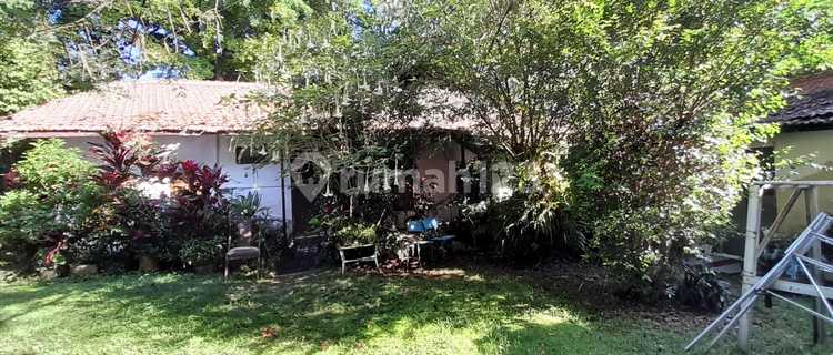 Rumah Lama Didaerah Sejuk Dago Atas Dekat Gdg Dago Tea House Bukit Dago Utara, Bandung. 1