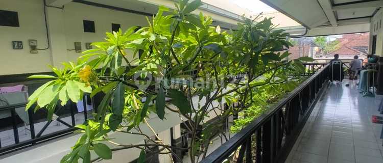 Ready to Occupancy 20-Room Boarding House Near Puri Bunda Hospital Denpasar Yul 1