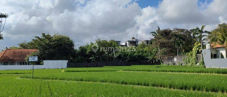 Land 2375 m² In Brawa Canggu AT 1