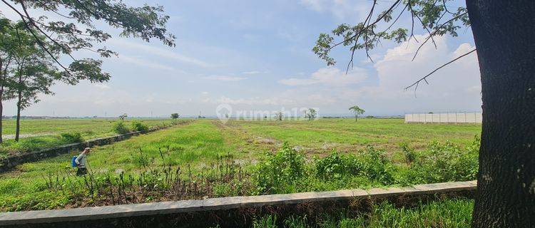 Tanah Untuk Gudang Dan Pabrik Di Rawaurip Pangenan Cirebon 1