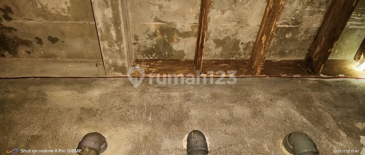 Active 4 1/2-Story Swiftlet House in Bukit Intan 1