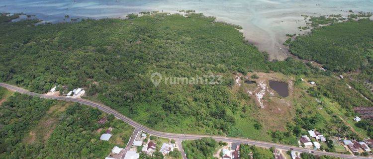 Tanah SHM  Pinggir Jalan Depan Pantai Di Tanjung Kelayang Belitung  1