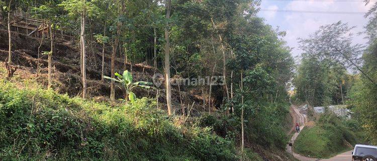 Tanah Luas Cocok Dibuat Kebun di Cisalak, Banjaran 1