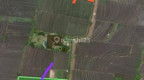 Land In Tibubiyu Tabanan , Perfect For Villas  1