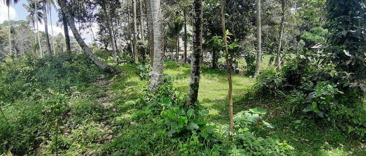 Tanah Dijual Keliki Kawan Tegal Alang, Ubud 1