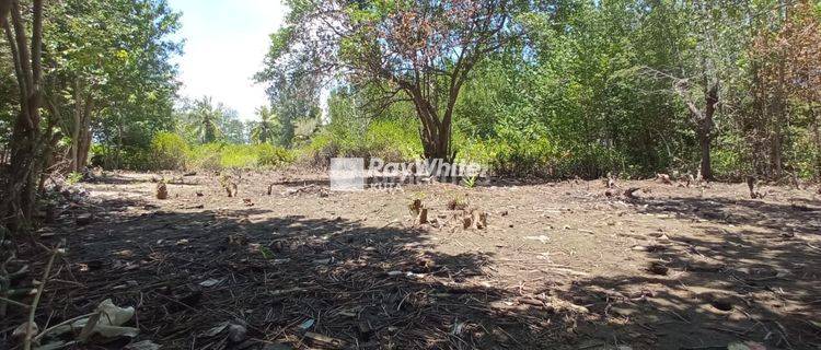 Tanah Murah Strategis Di Gili Trawangan Lombok 1