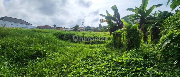 Tanah Lokasi Strategis Cocok Untuk Villa di Padang Linjong, Bali 1