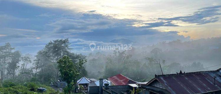 Beautiful Land With Mount Batur View In Kintamani, Bali 1