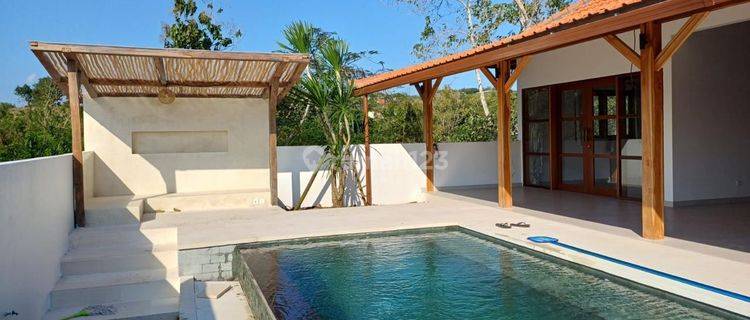 Beautiful Villa Lease Hold In Padang-Padang  1