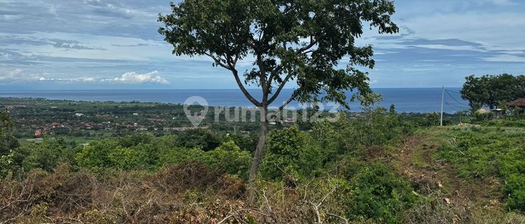 Amazing Ocean View Land In Lovina Best For Investment  1