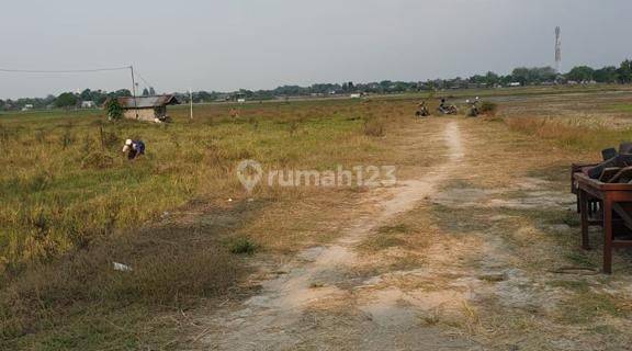 Tanah Sawah Hanya 400rb An Cepu Kabupaten Blora 1