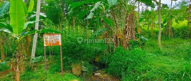 Tanah Murah Harga Bawah Njop Gunung Pati Semarang 1