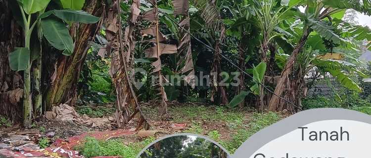 Kavling Siap Bangun di Gedawang Lingkungan Sudah Terbentuk dan Jadi Dekat Pasar Gedawang 1