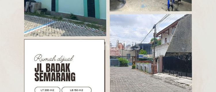 Strategic House on Jl. Badak Semarang - Near Simpang Lima 1